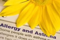 World Asthma Foundation